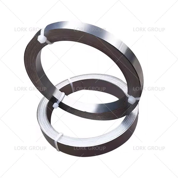 Hastelloy Alloy C-2000 Strip (UNS N06200)